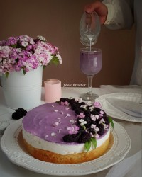 چیز کیک وانیلی (تقدیمی)