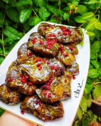 دلمه برگ مو