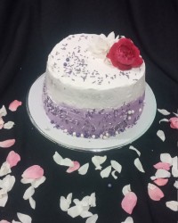 چند نمونه از کیکام