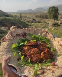 آشپزی در طبیعت