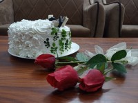 تولد امام رضا مبارکمون باشه