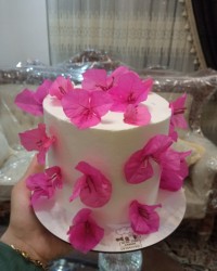 کیک تولد مامان جانم (پروانه خداجوی حق)