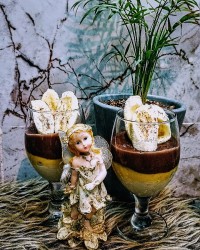 سلام عزیزان