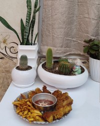 بال سوخاری و کیک شربتی