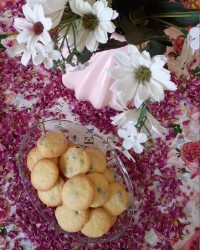 کشمشی به مناسبت میلاد امام رضا (ع)