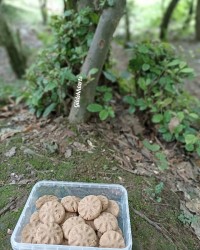 شیرینی کافه مدرن (نسکافه ای)