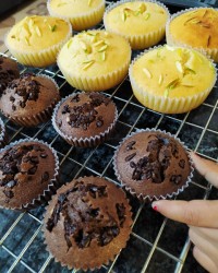 مافین پنبه ای