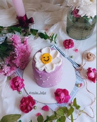 مینی کیک (شیفون)