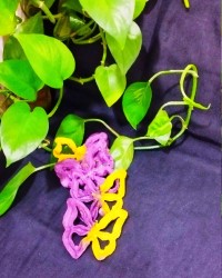 شیرینی نان پنجره ای