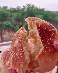 نان فطیر