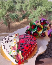 کیک اسفنجی رژیمی