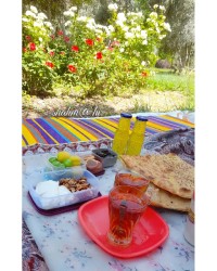 صبحانه ساده،شربت پست تقدیمی