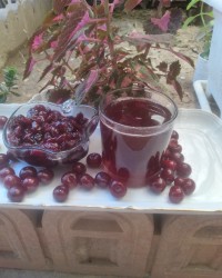 مربا وشربت آلبالو?