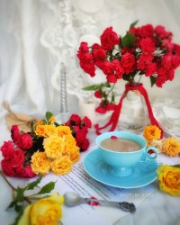 قهوه یونانی