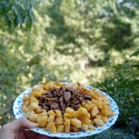 جگر «روز مرگی چالش فاطمه زمانی»