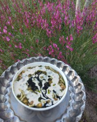 چالش روزمرگی فاطمه زمانی