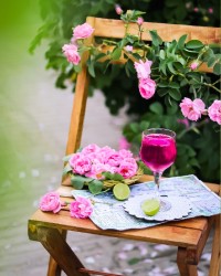 نوشیدنی کاکتوس و گل سرخ