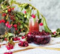 شربت و مربای آلبالو