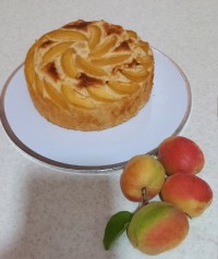 کیک زردآلو با دستور استاد نوشین سراجی عزیز