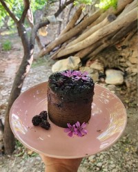 کیک شاتوت