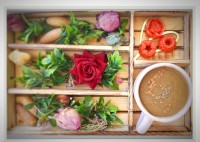 زیره جوش (کاچی)