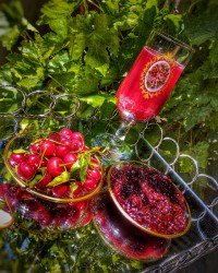 شربت و مربا آلبالو