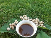 شیره توت سفید