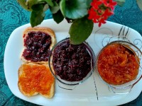 مربا هویج مربا تمشک