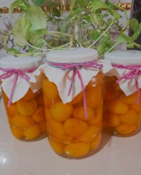 کمپوت زرد آلو