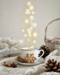 جُرعه ای نور