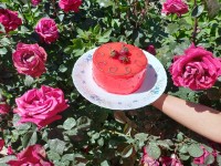 کیک خامه کشی شده