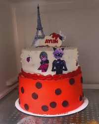 کیک (دخترکفشدوزکی)