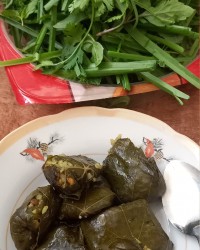 بازم دلمه خوشمزه