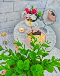اوتمیل یه میان وعده خوشمزه