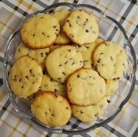بیسکوییت شکلات چیپسی