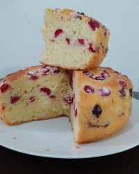 عکس از گالری