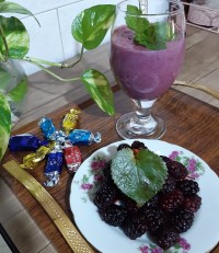 اسموتی شاتوت وپاناکوتازعفرانی