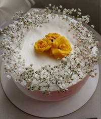 کیک افتتاحیه