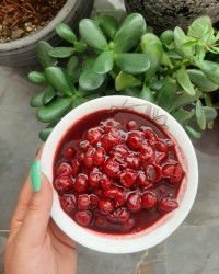 ترشک البالو