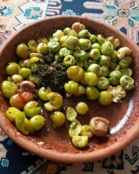 سیب دشکن و هلی دشکن