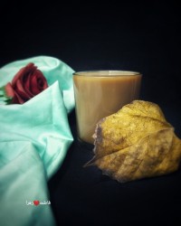 یا امیرالمؤمنین (ع)