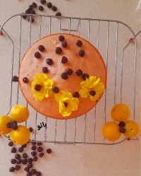 کیک شربت البالو،بانوپز