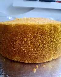 عید_ولایت عید _ غدیر خم