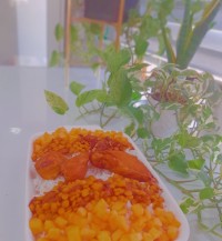 مچبوس مرغ