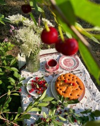 کیک آلبالو