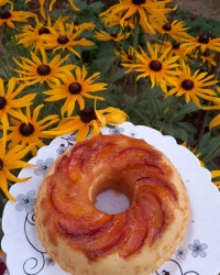 کیک برگردان شلیل