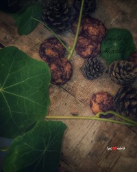 عید مباهله مبارک