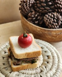 کوکو پیازچه