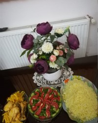 چلو مرغ و سالاد.