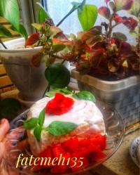 چالش-گالری-تکونی (فاطمه زمانی)